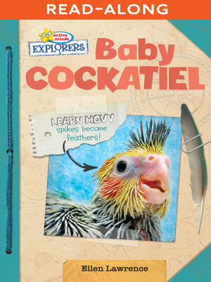 cover image of Baby Cockatiel